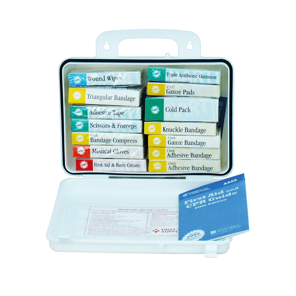 Sixteen unit plastic first aid kit - open view