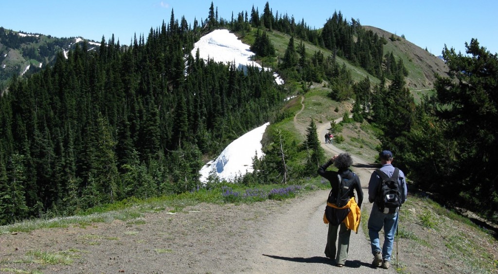 first aid for hikers